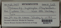 Image Associated With the Occurence